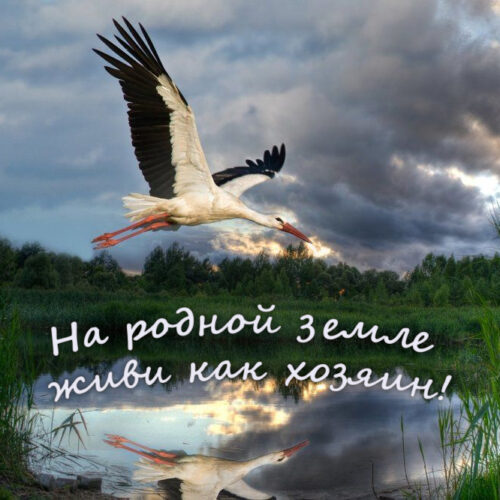 На родной земле — живи как хозяин!
